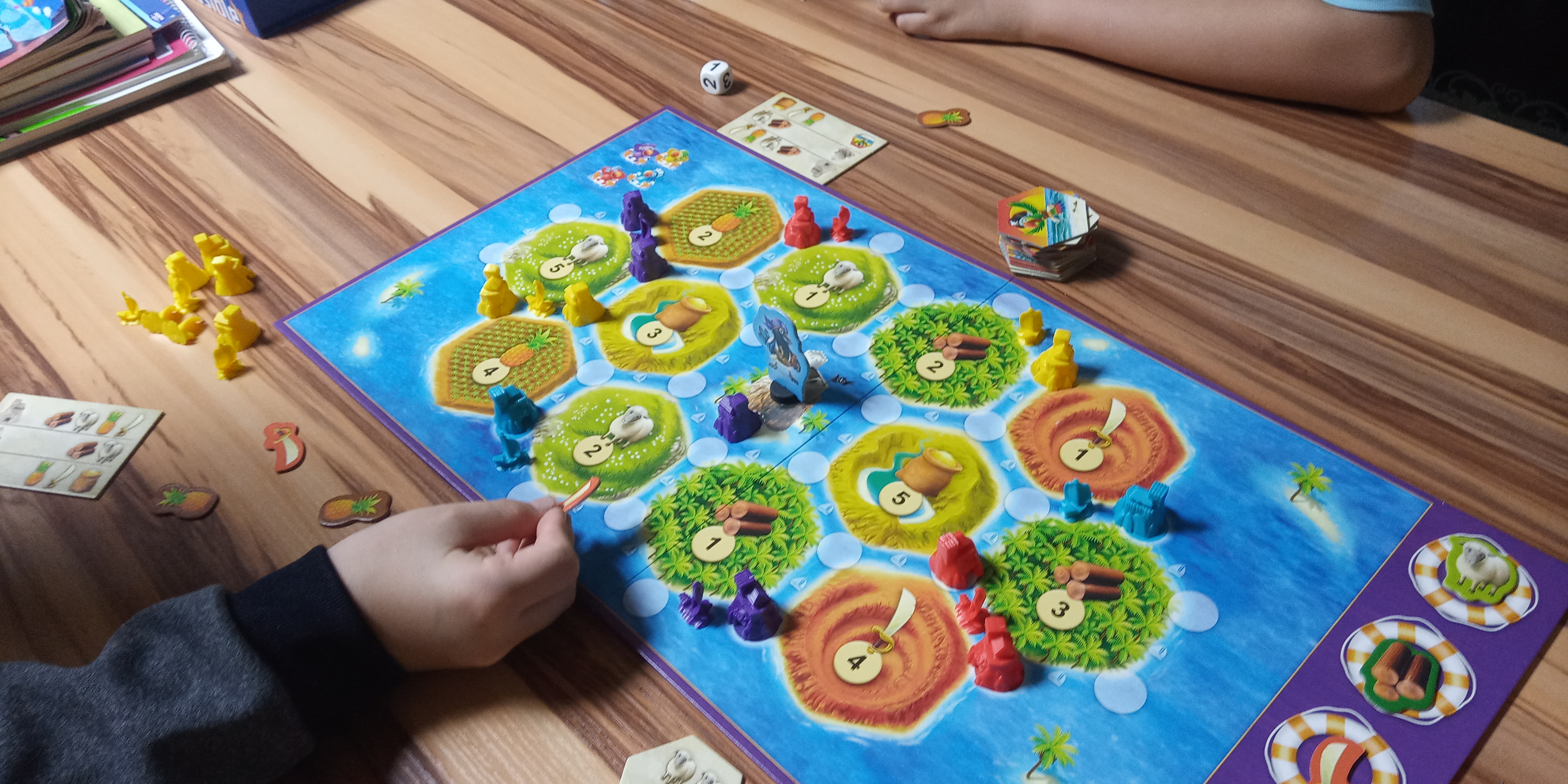 CATAN 카탄 (주니어) 게임하는 모습1