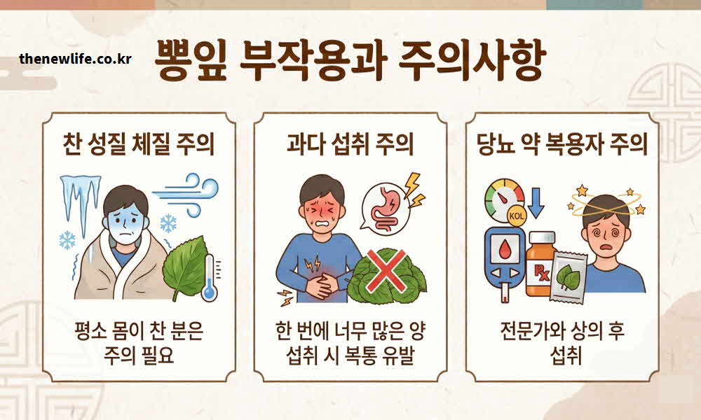 뽕잎 효능 부작용 주의사항