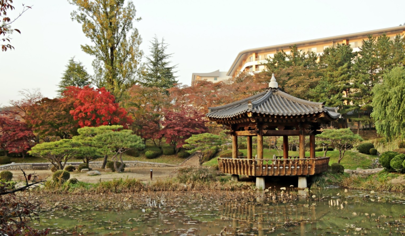 지드래곤 보러 가는 법