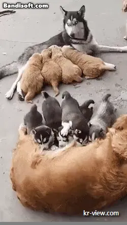 img.webp?credential=yqXZFxpELC7KVnFOS48ylbz2pIh7yKj8&expires=1767193199&allow_ip=&allow_referer=&signature=M7uXHeTrbnVlfpZ%2BVwEHoP%2FcWew%3D