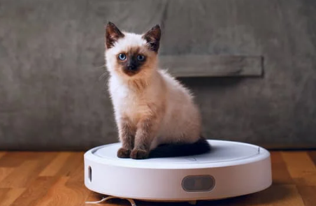 집 청소가 즐거워진다! 로봇청소기 추천 TOP