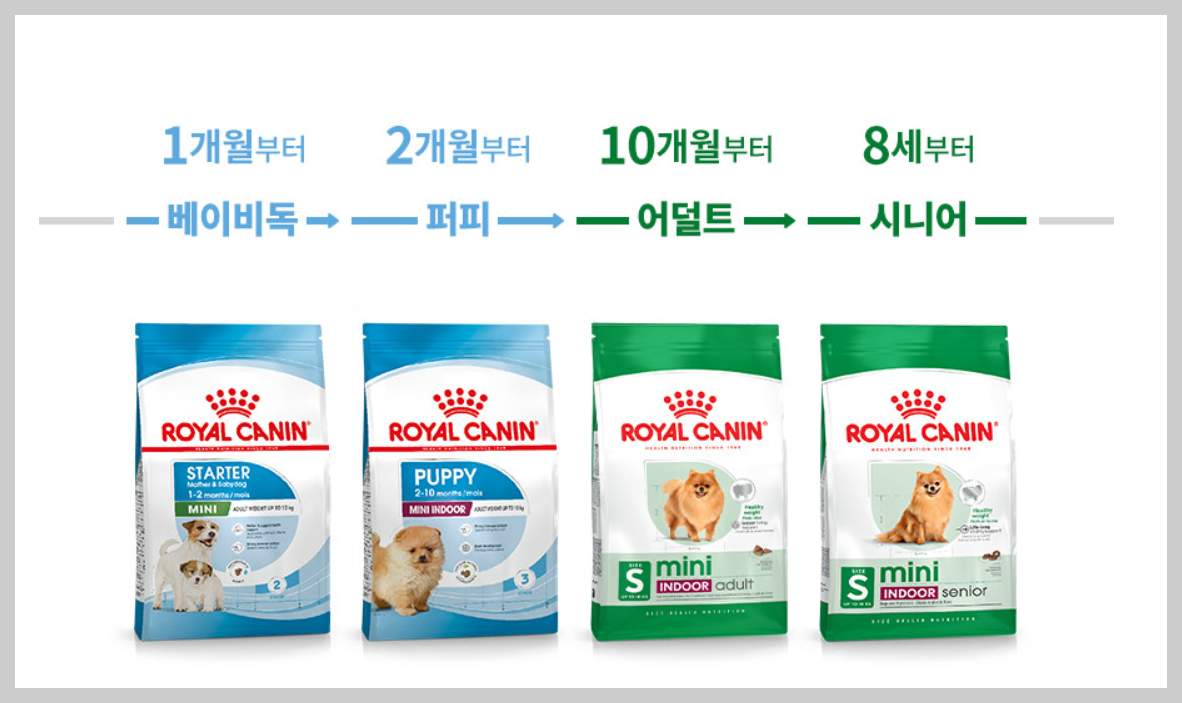 강아지 사료 추천 간식 선택 가이드