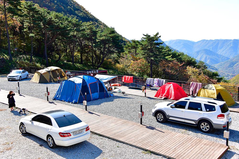 경상남도 밀양시 도래재별빛마을캠핑장