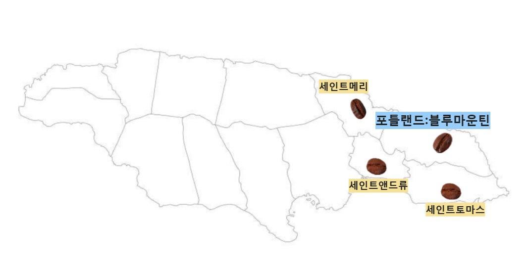 자메이카 블루마운틴