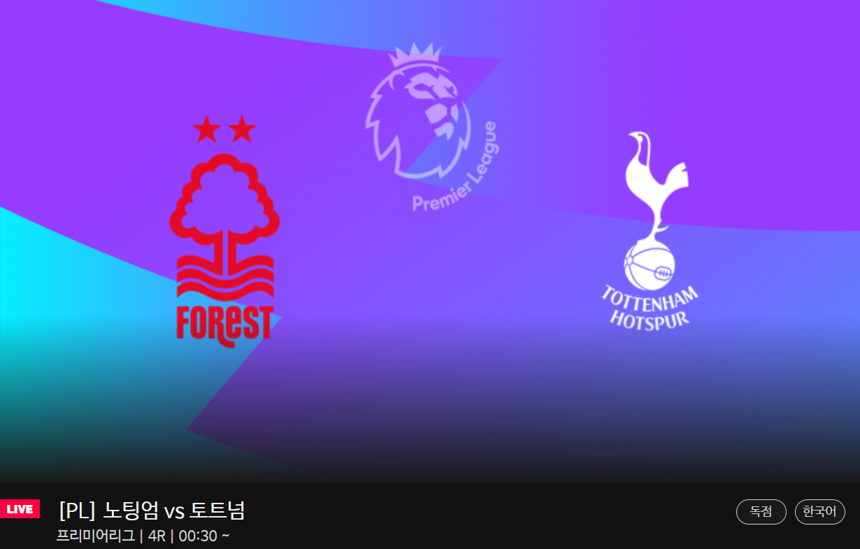 손흥민 경기일정 선발 확정