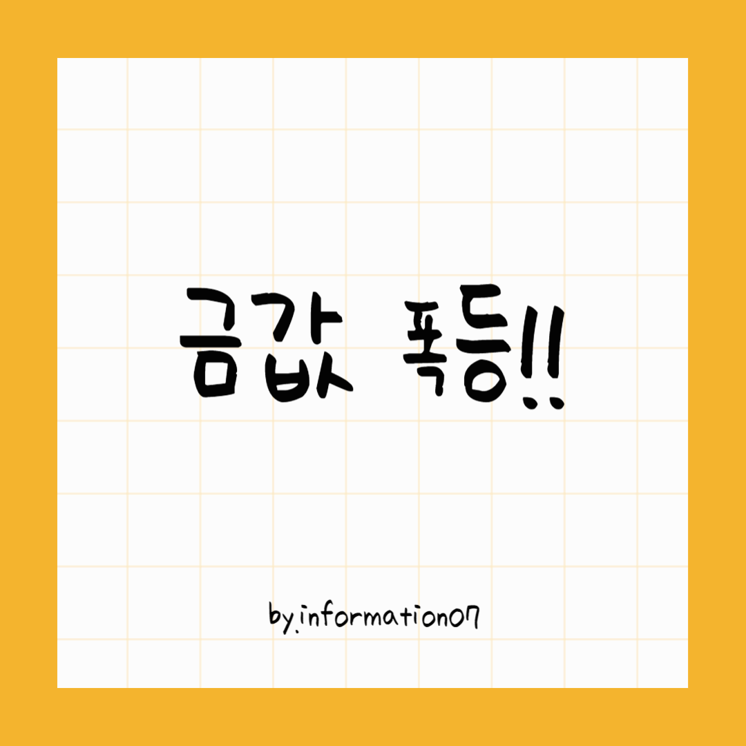 금값 폭등
