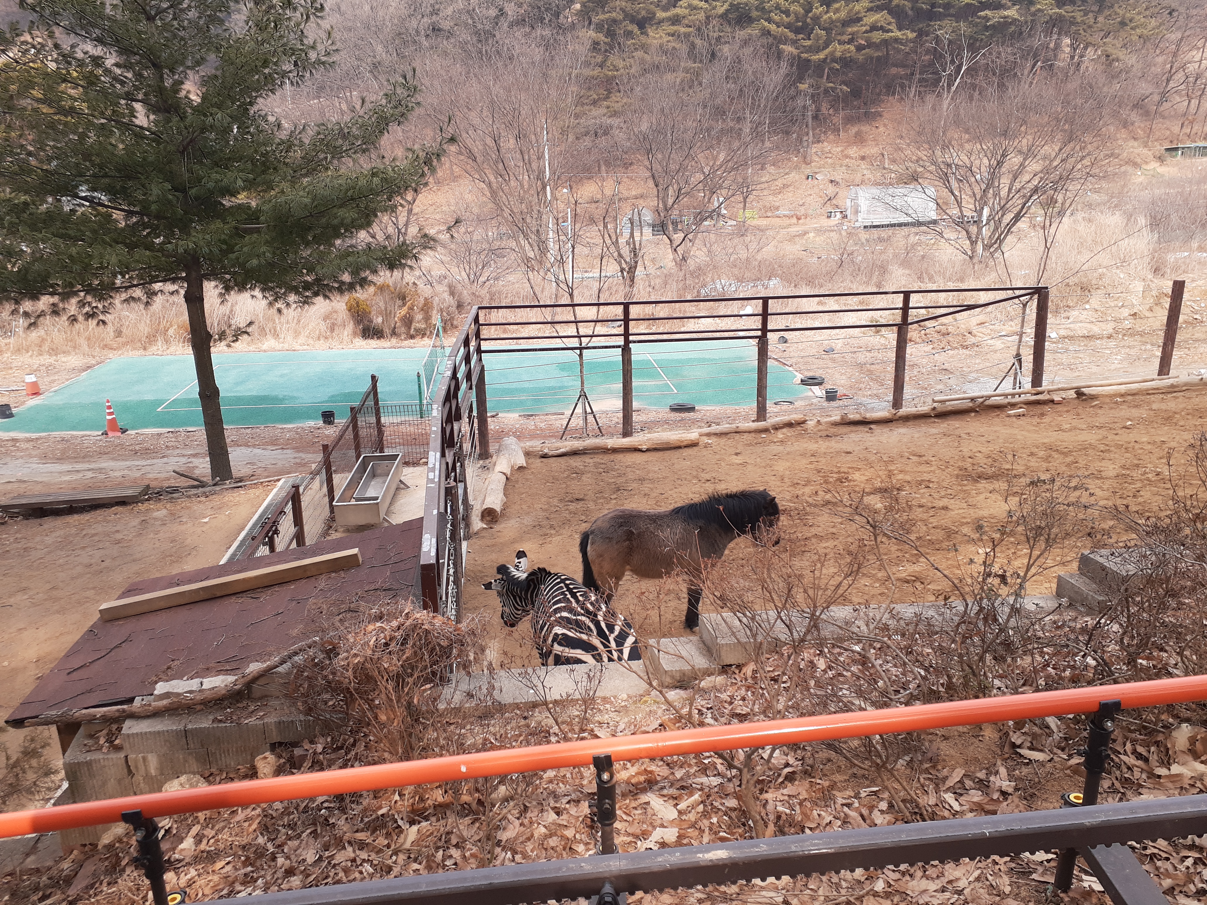 청주동물원