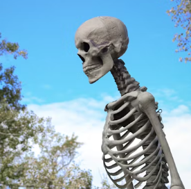 허리 디스크 치료법 진단 기준 예방법