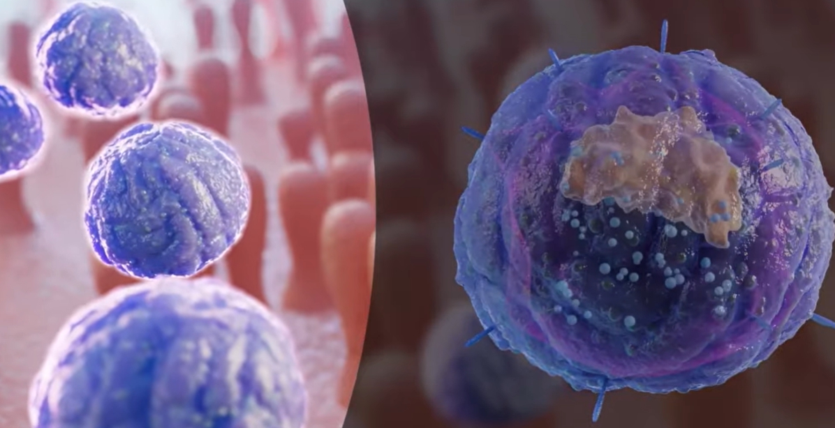 클라미디아 감염 경로