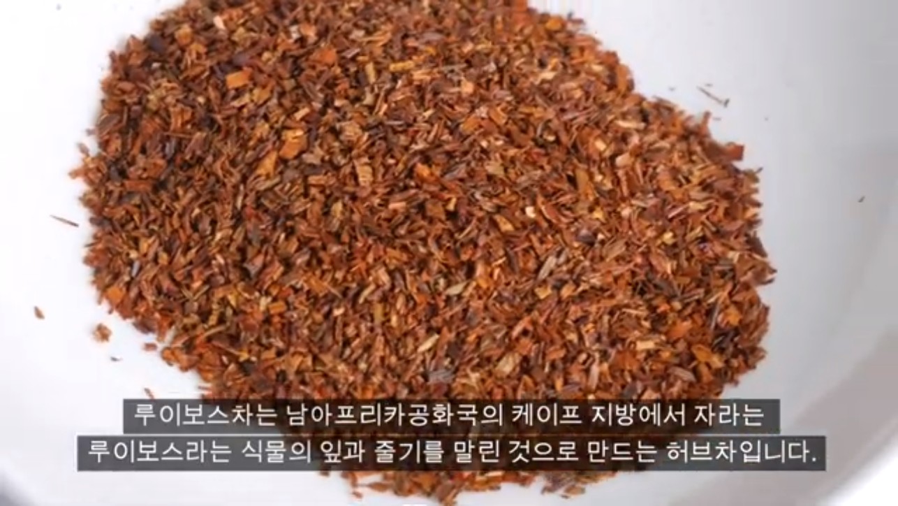 루이보스 차 소개