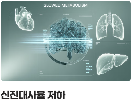 20대와 다른 우리 몸, 왜 굶으면 안 될까?