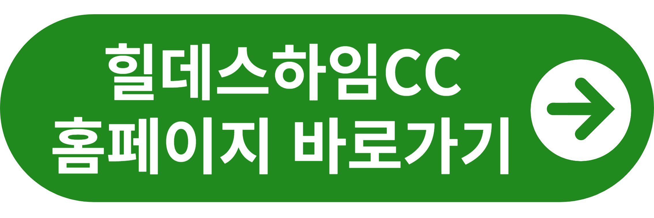 힐데스하임C 홈페이지 바로가기