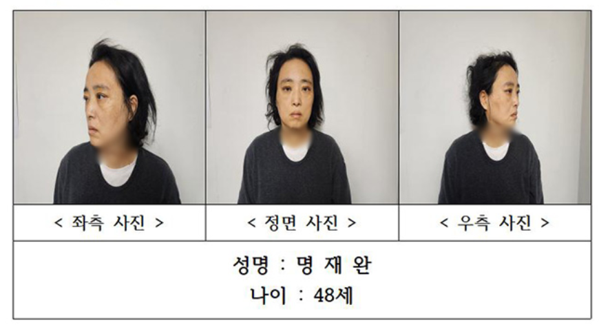 대전 초등생 흉기 사건