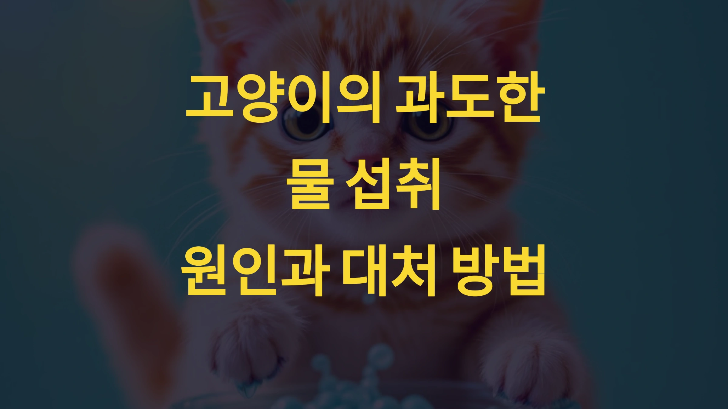 고양이가 갑자기 물을 많이 마신다면