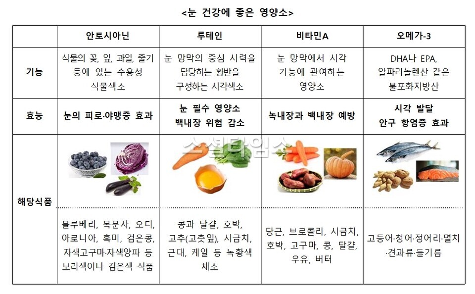눈에 건강에 좋은 영양소