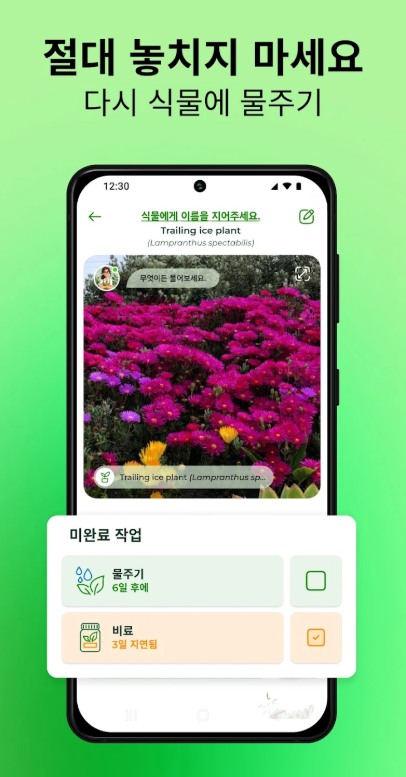식물이름 찾기 어플 꽃 사진 검색