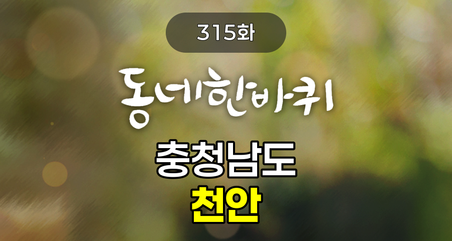 KBS 동네한바퀴 충청남도 천안 315화 2025년 4월 12일 맛집 식당 업체 촬영장소 촬영지 정보, 새로 피어난다 - 충청남도 천안
