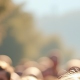 초등학생 입학지원금2