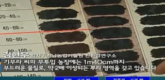 하우스 재배 물관리 점적관수 타이머 EC pH 양액 관리_8