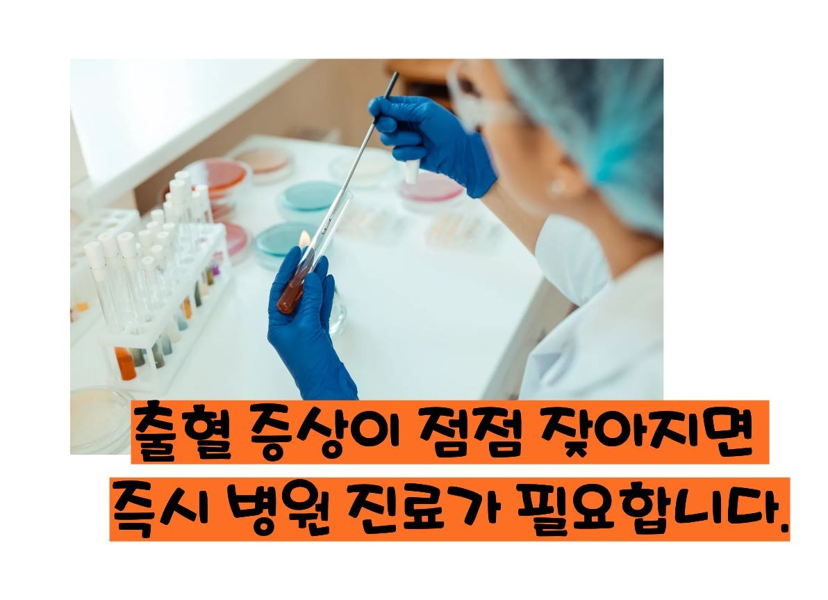 혈소판 감소증 증상