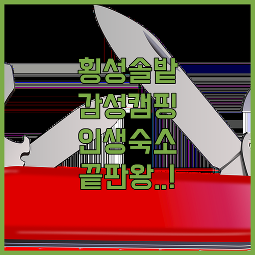 가족 연인과 가기 좋은 횡성 솔밭 캠..