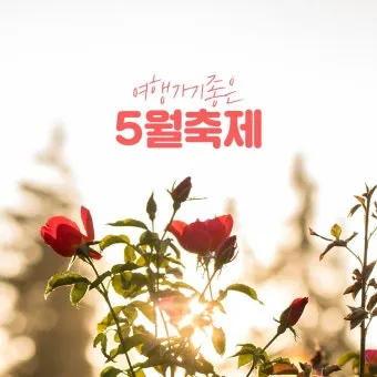 5월 가봐야할 전국 축제 10선 가족 연인 최고 명소_14