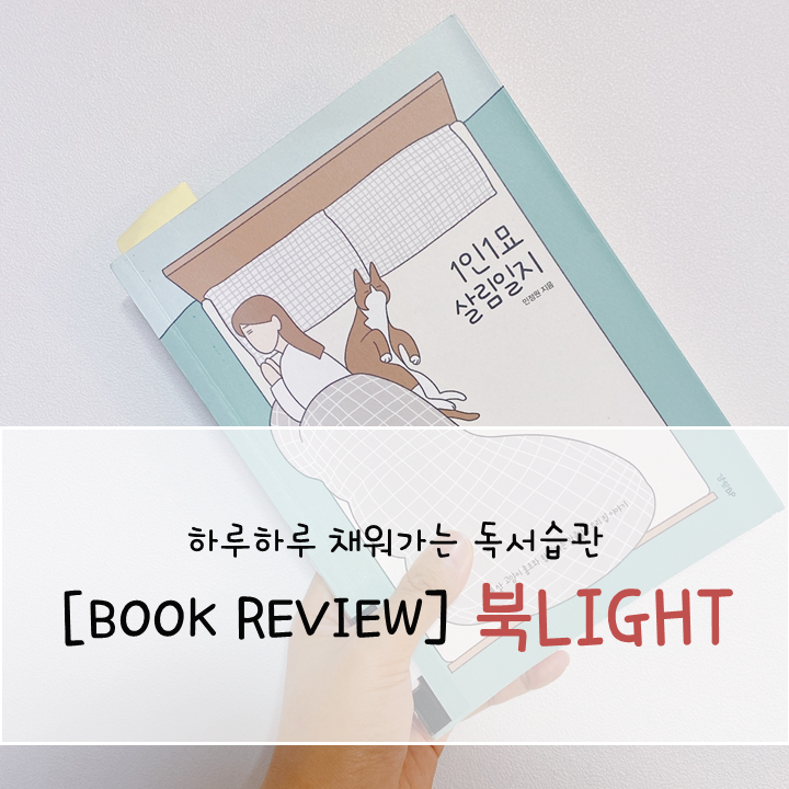 홍조 민정원 1인1묘살림일지