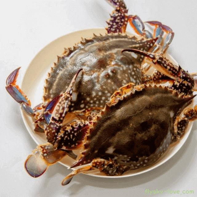 꽃게 효능