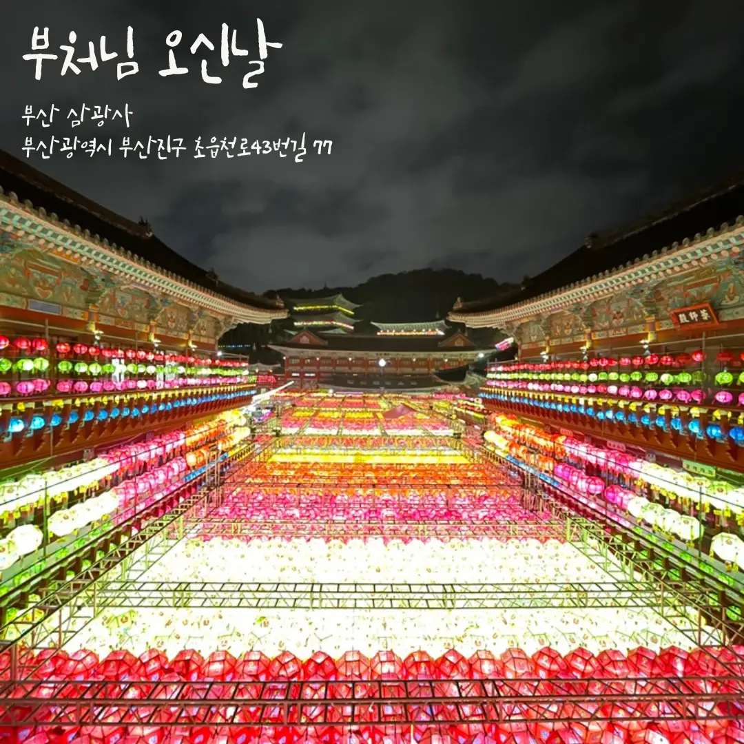 2025년 부처님오신날