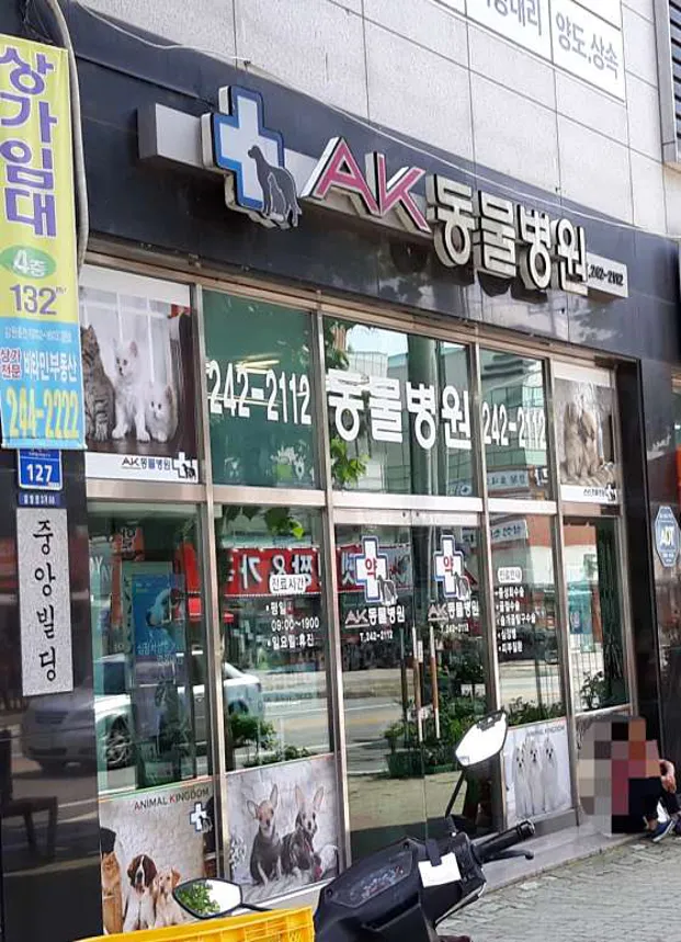 AK동물병원