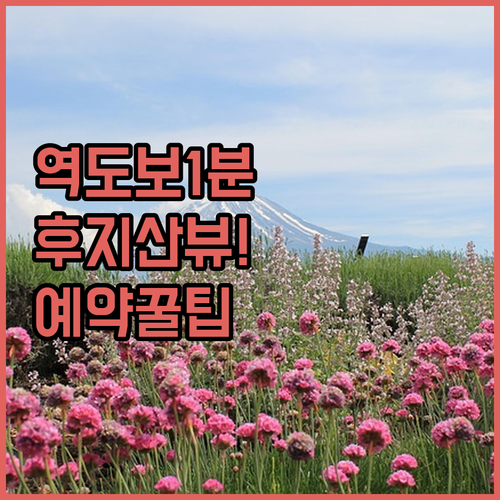 시미즈역 도보 1분 호텔부터 후지산 ..