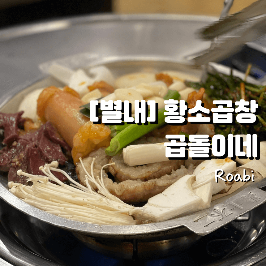 곱창덕후들의 성지, 별내 황소곱창 곱돌이네 리뷰