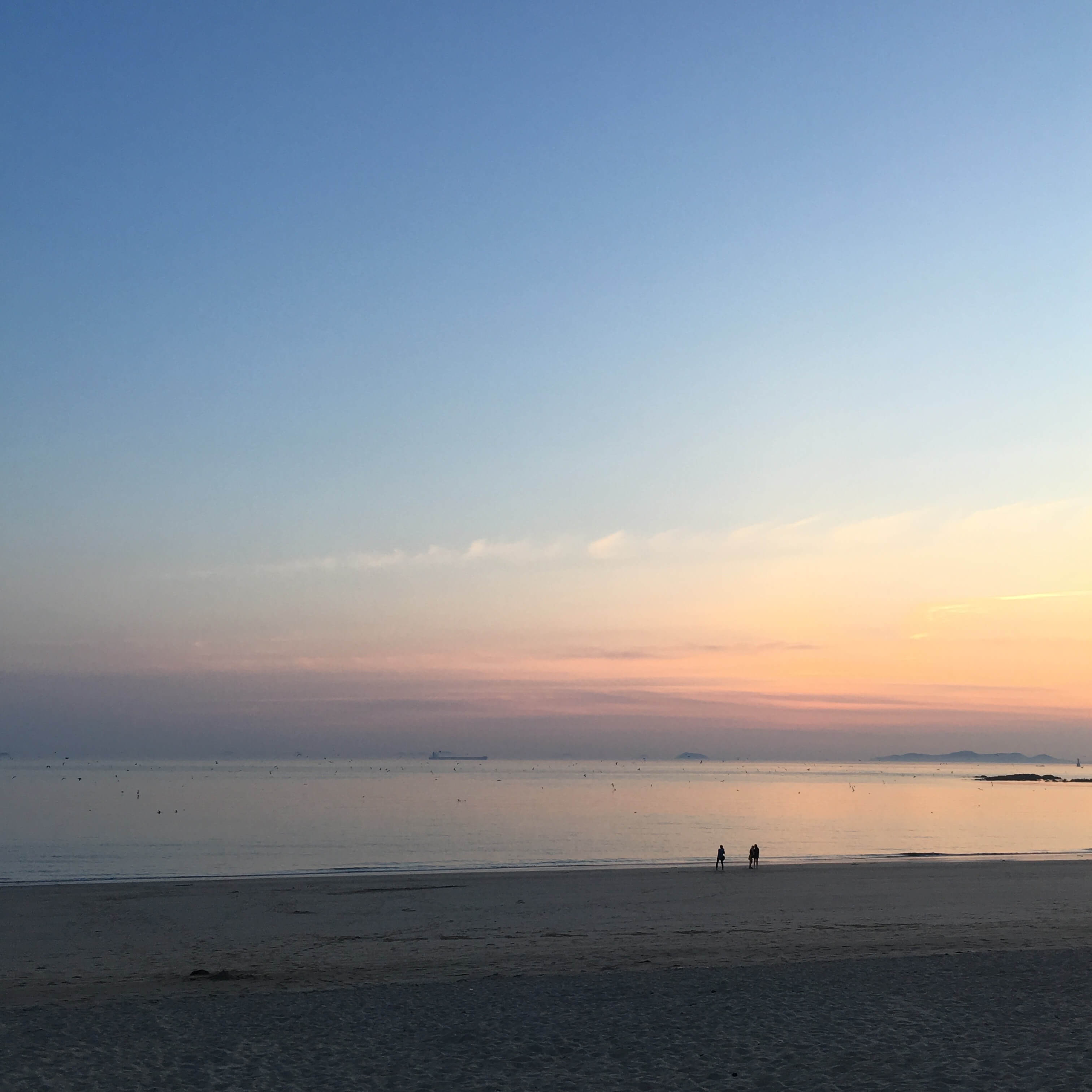 바다가는 달 할인 여행