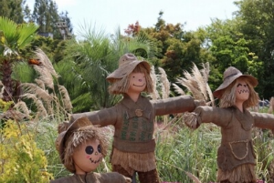 코스모스축제 고양가을꽃축제 예매, 주차장