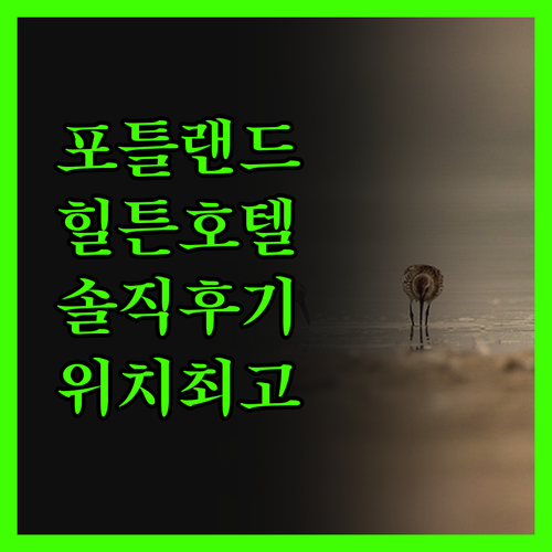 포틀랜드 힐튼 호텔, 내돈내산 후기!