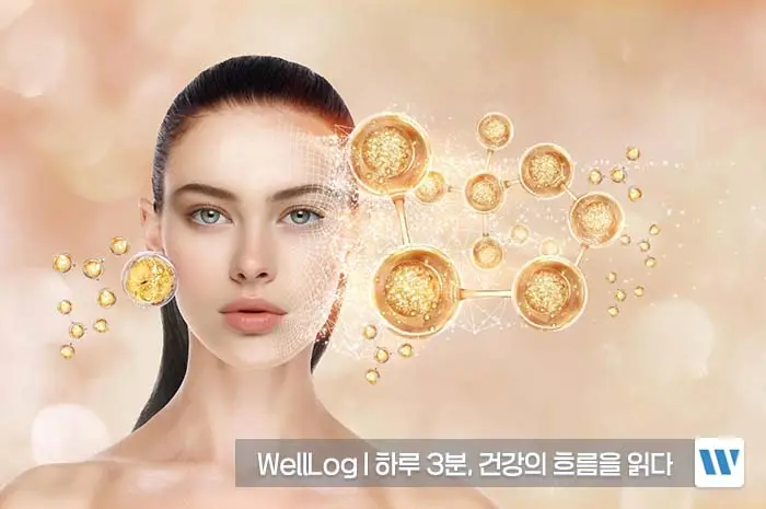 리포좀 비타민C 효능