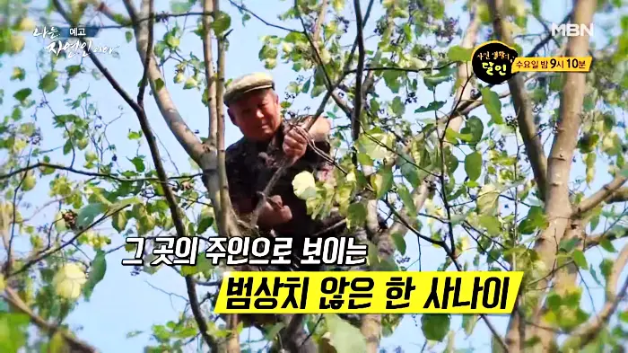 나는-자연인이다-이승윤
