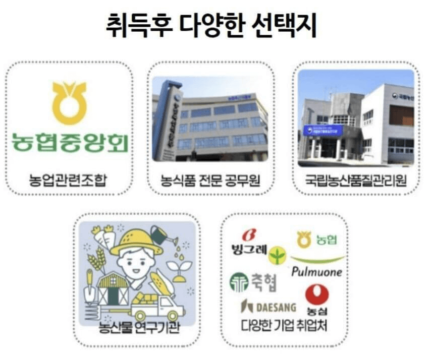 손해평가사 연봉 및 전망, 50대도 딸 수 있는 자격증