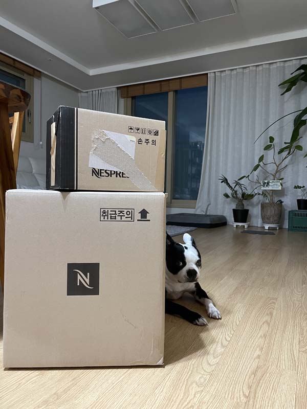 네스프레소 버추오 박스패키지 도착