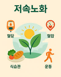 혈관 노화를 늦추는 생활 방법