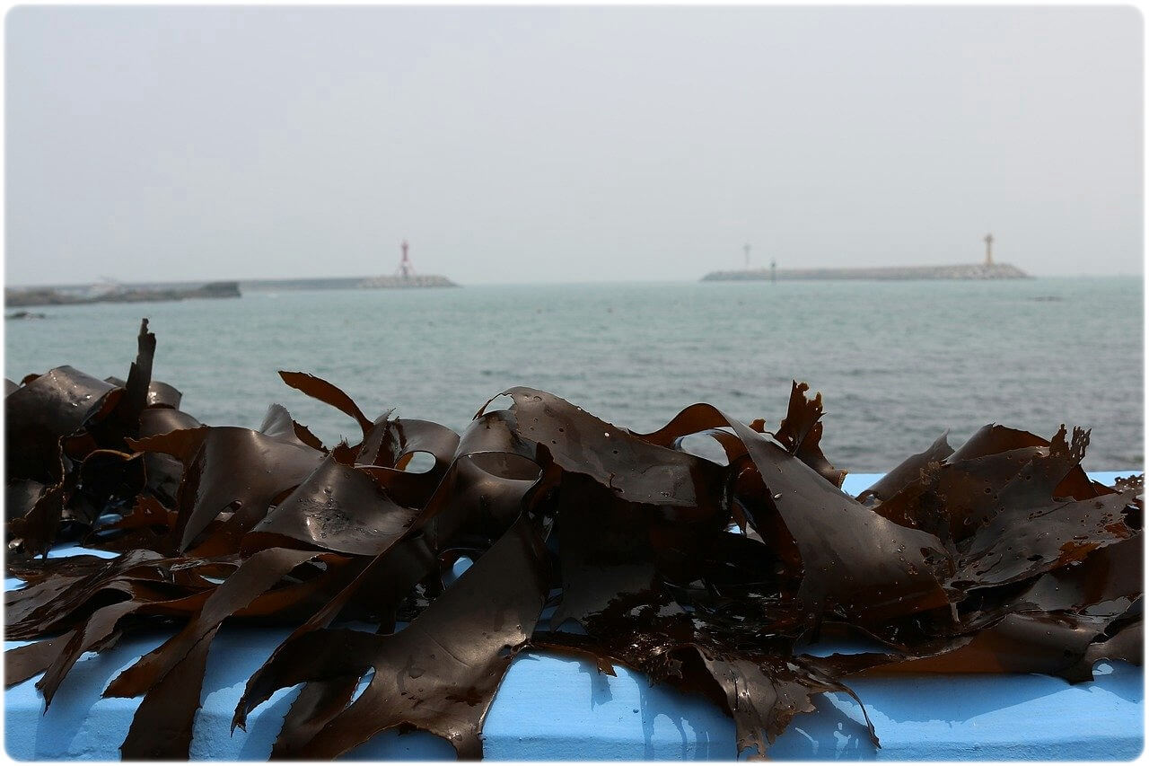 갑상선에 좋은 음식