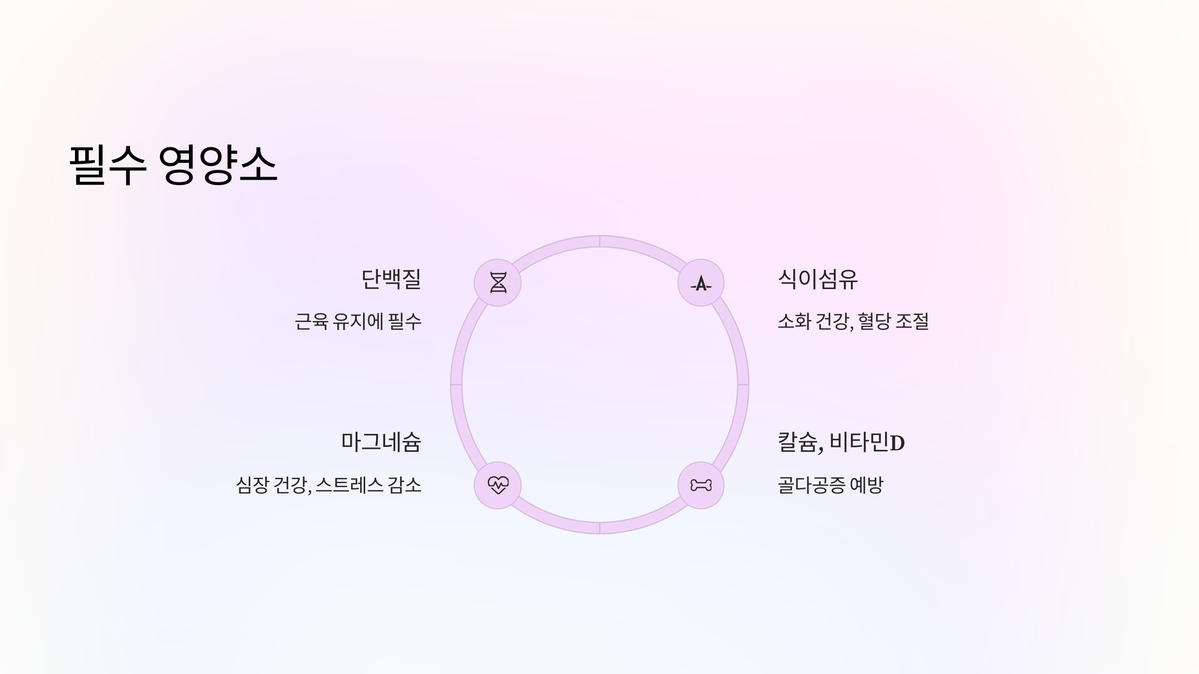 🥦 꼭 챙겨야 할 영양소