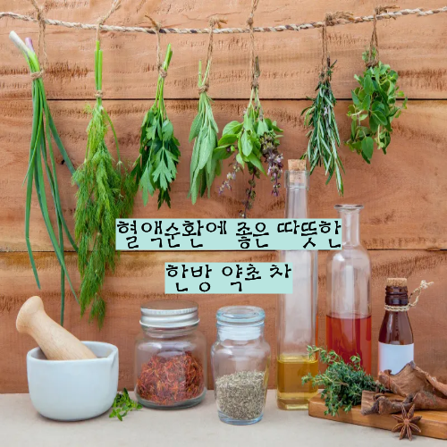 혈액순환 개선을 돕는 대표 약초 종류와 차로 마시는 방법 가이드