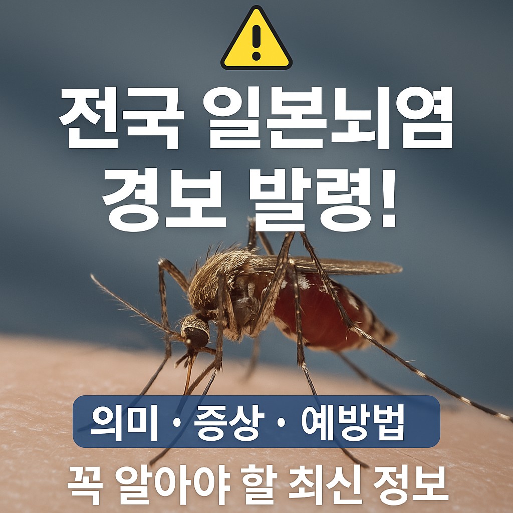 일본 뇌염 경보