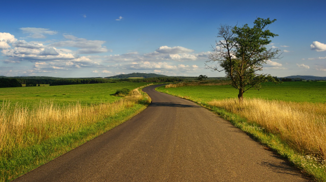 길을 물어보던 풍경이 사라진 하루의 모습