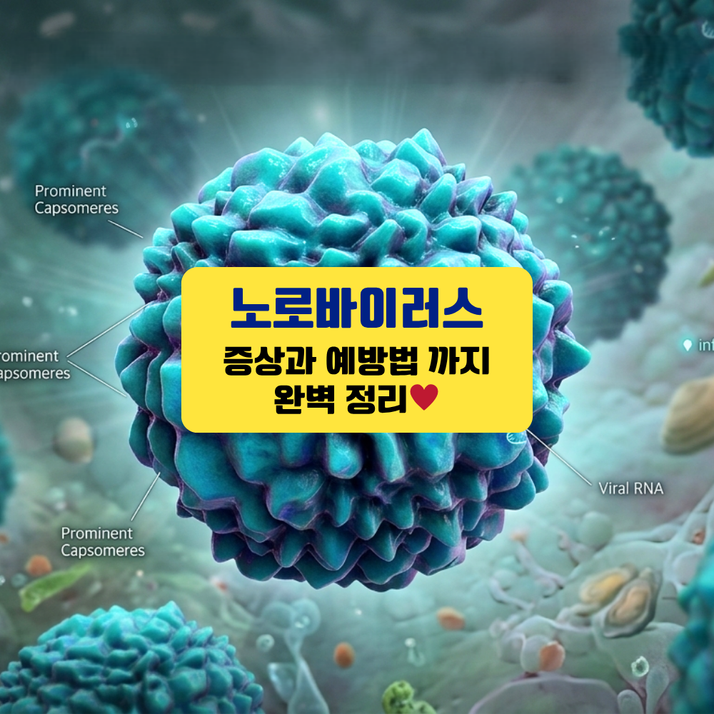 겨울, 봄철 노로바이러스 – 증상, 원인 음식, 예방법 총정리