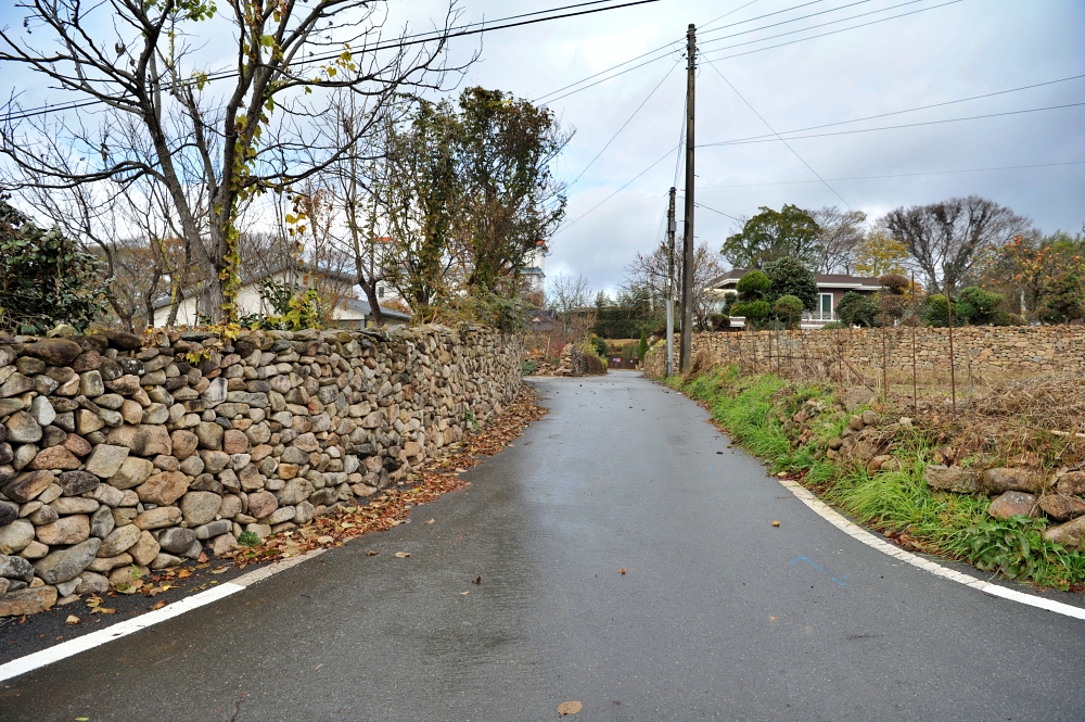 도갑리 죽정마을 돌담길