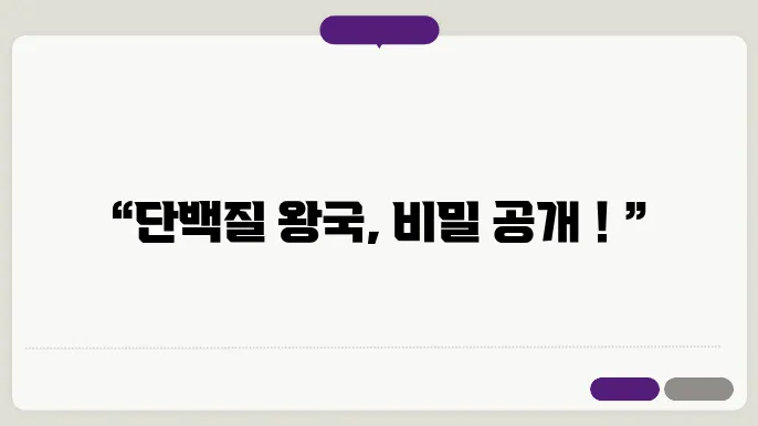 단백질 많은 음식 소개