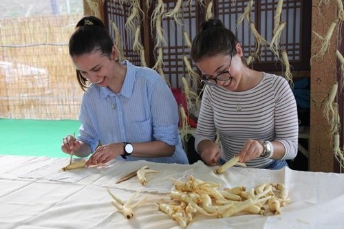 가족 체험 프로그램