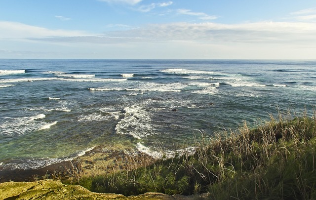 바다 속에서 발생하는 보이지 않는 ‘미세 진동 흐름’을 해석하는 해양 데이터 전문 직업, 해양 미세진동 감지 엔지니어